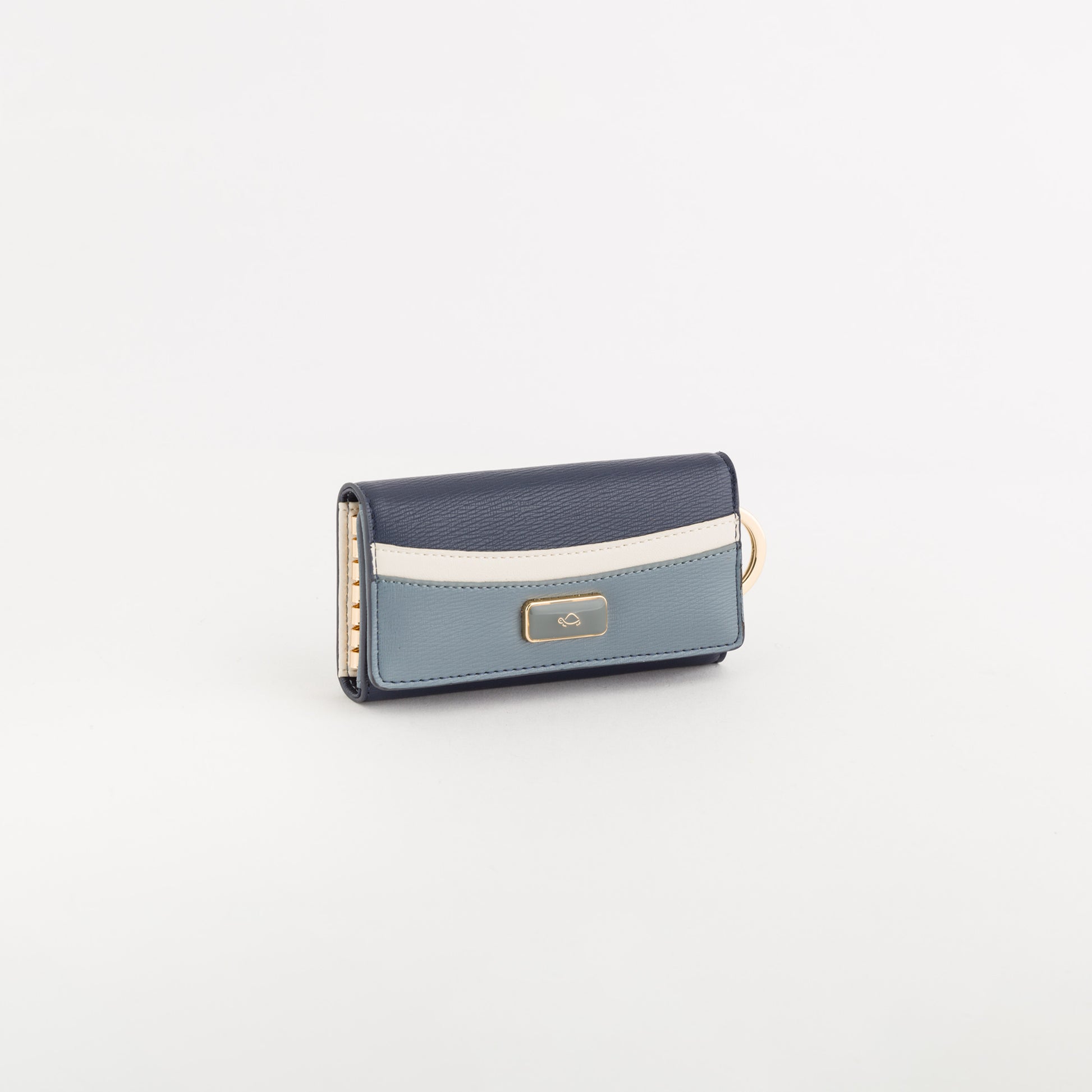 #COLOR_NAVY BLUE