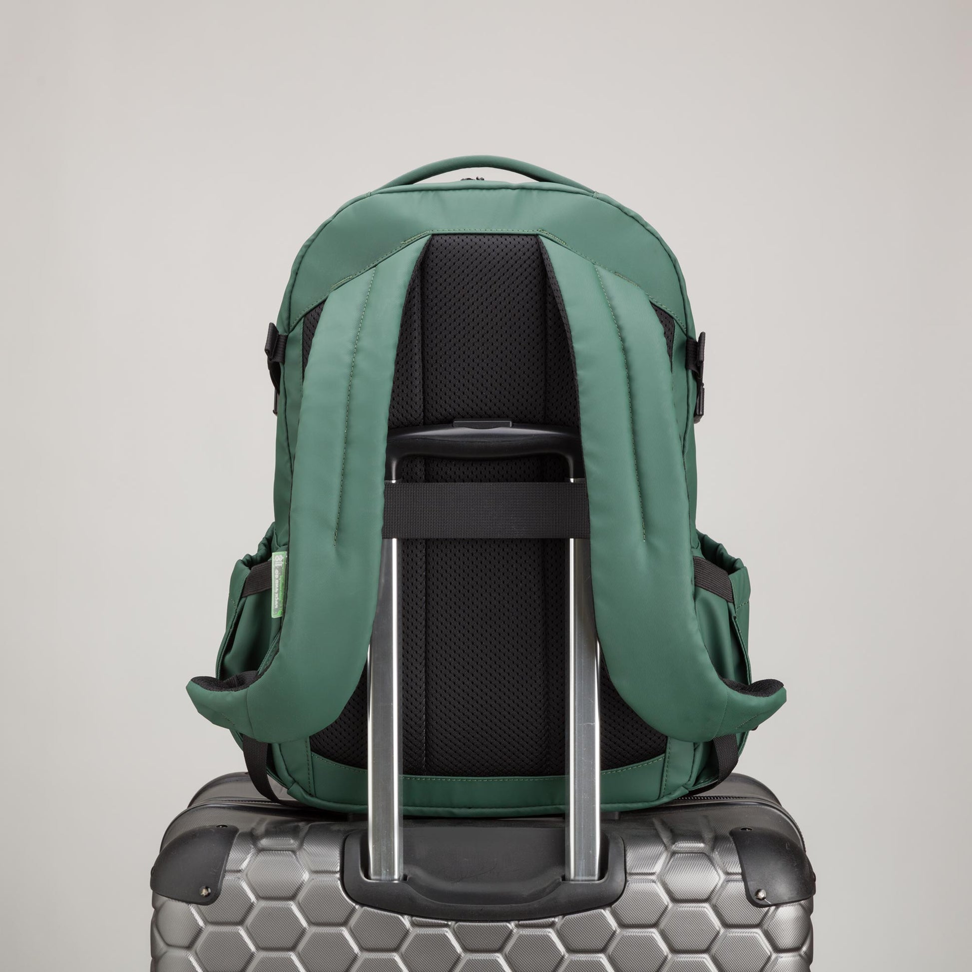 #COLOR_GREEN