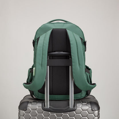 #COLOR_GREEN