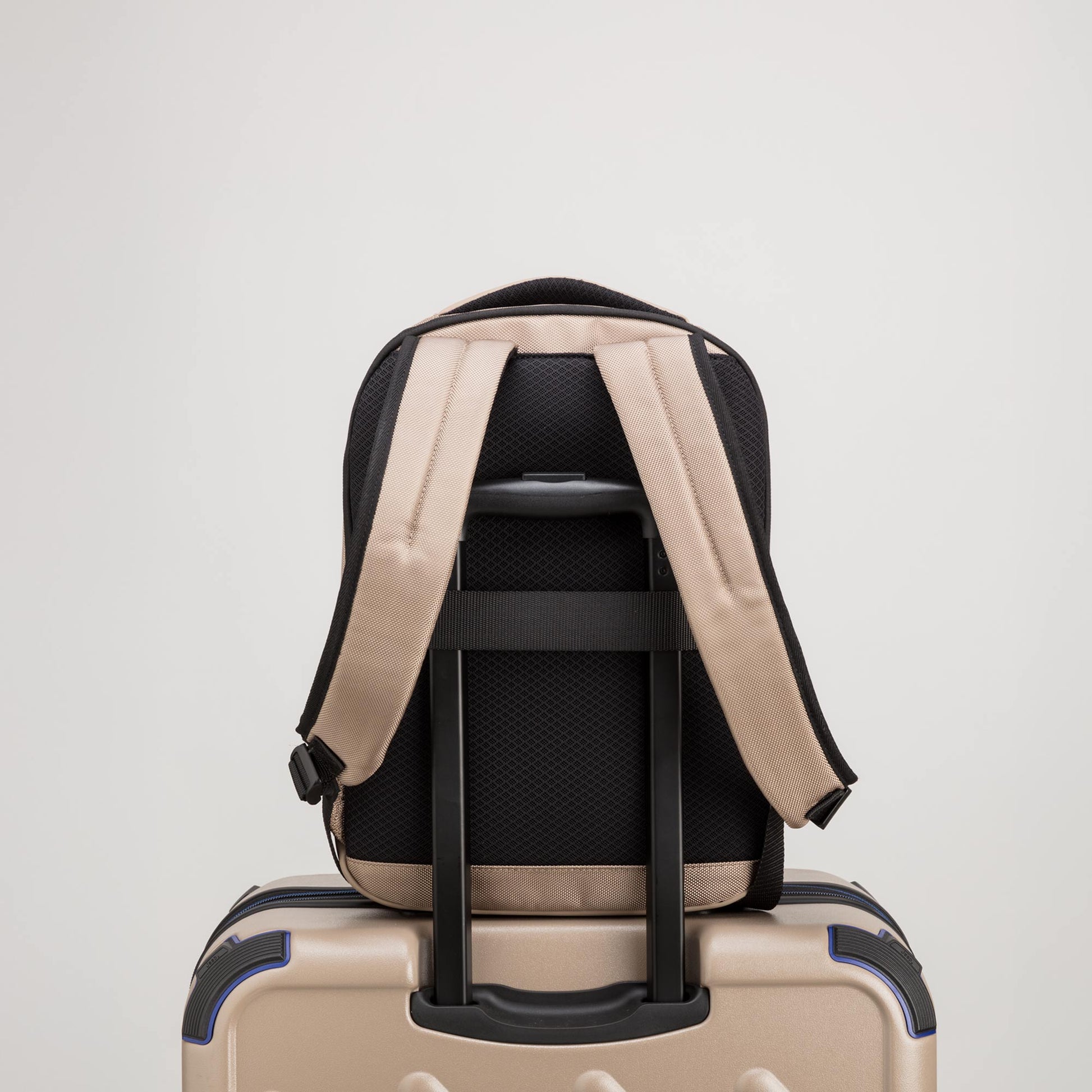 #COLOR_BEIGE